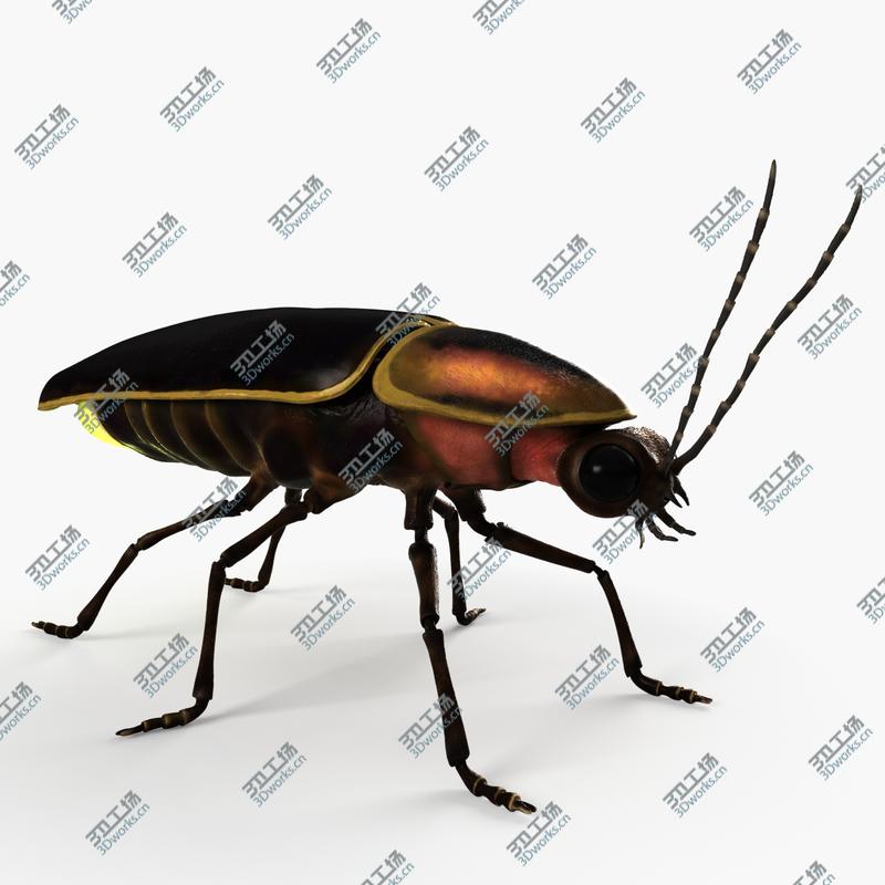 images/goods_img/20210319/3D model Firefly/1.jpg